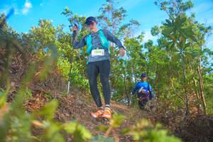 BIB: 
                            <button type="button" onclick="openModal(21843457)" class="btn btn-primary btn-sm float-right btn-popup" data-toggle="modal" data-target=".modal-high-quality">
                        <i class="fas fa-shopping-cart"></i> Add to Cart
                    </button>
                                            <button type="button" onclick="isThisMe(21843457, true)" class="btn btn-success btn-sm float-right btn-popup btn-isme hidden" data-toggle="tooltip" data-placement="bottom" title="นี่คือรูปของคุณใช่ไหม คลิกที่นี่เพื่อเอาเข้าอัลบั้ม">
                        <i class="fas fa-plus"></i> Add to album
                    </button>
                    <button type="button" onclick="isThisMe(21843457, false)" class="btn btn-warning btn-sm float-right btn-popup btn-isnotme hidden">
                        <i class="fas fa-ban"></i> Remove from album
                    </button>